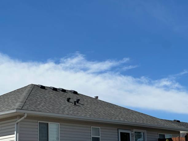 Skylights in Perry, OK